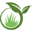 Torrance Lawn Clean Up