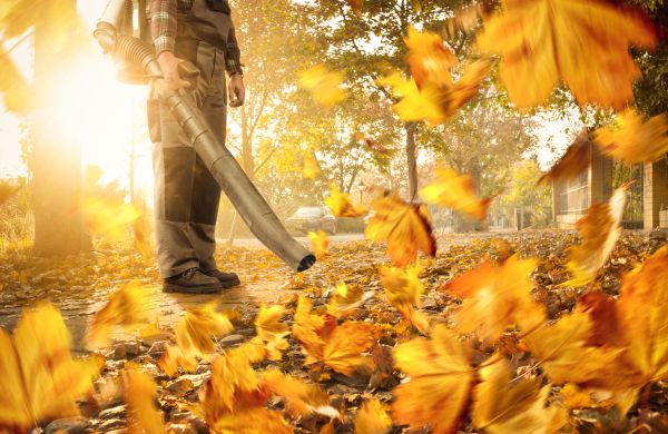 Leaf Blowing Service in Torrance