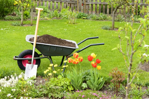 Spring Yard Cleanup in Torrance