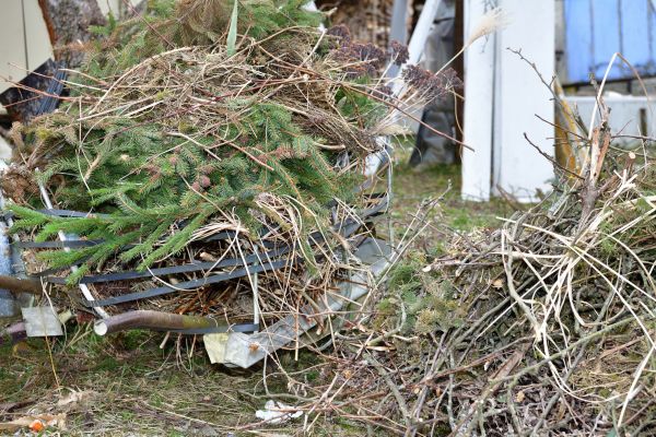 Yard Waste Removal Service in Torrance