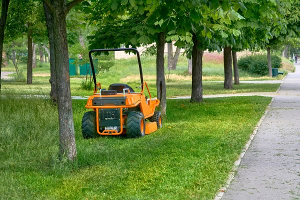 Landscaping Cleanup Service in Torrance