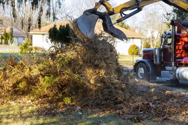 Storm Debris Removal in Torrance