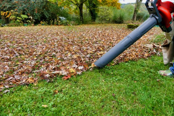 Leaves Vacuuming in Torrance
