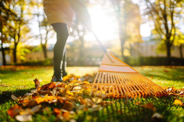 Leaves Raking in Torrance