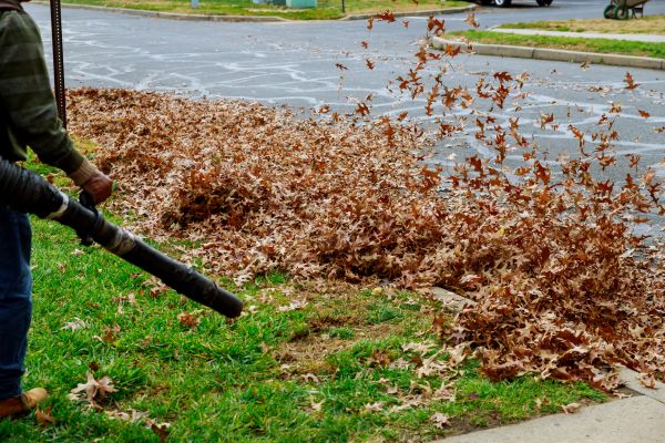 Garden Leaf Removal in Torrance