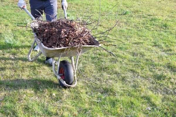 Yard Brush Removal in Torrance