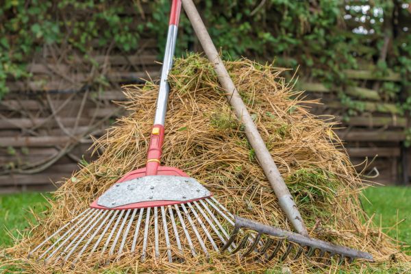 Pine Straw Clearing in Torrance