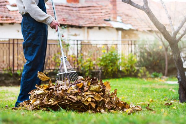 Spring Lawn Cleanup in Torrance