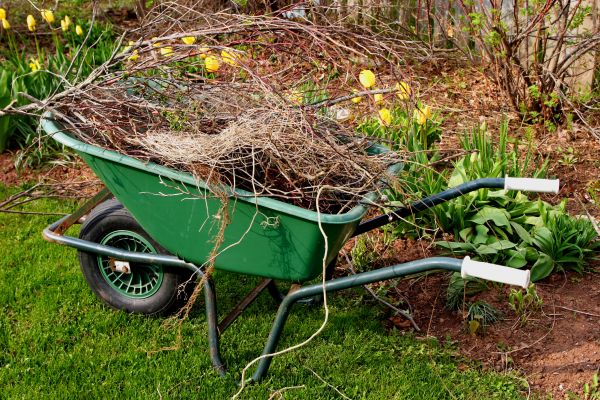 Lawn Waste Removal in Torrance