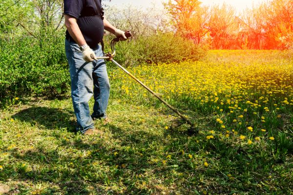 Cost of Yard Clearing Service in Torrance