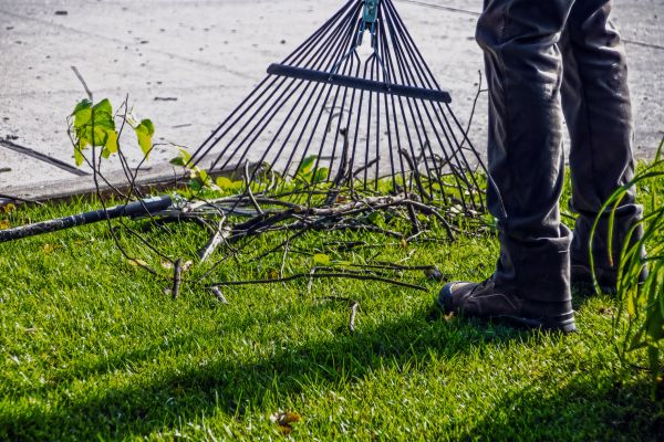 Yard Debris Cleanup in Torrance