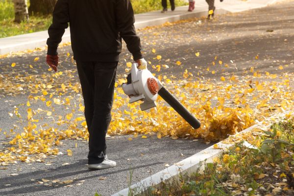 Commercial Leaf Removal in Torrance