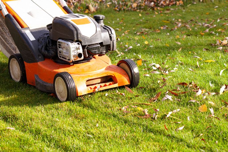 Fall Lawn Maintenance