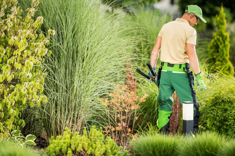 Landscape Design and Maintenance Firms